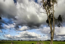 【中冠前瞻】广州安华队，决战增城全力冲乙！.