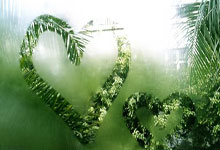 记者：曼联与阿森纳、切尔西竞争德拉普和谢什科；尤文想签安东尼.